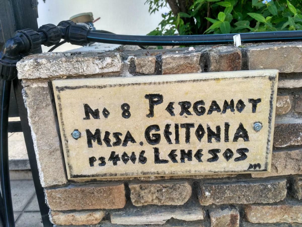 Mystery Shack Hostel Limassol Exterior photo